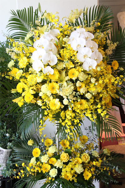 �X�^���h�� ������